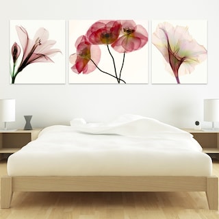 Foto 3 | Set Cuadros Flores Minimalista Moderno Naturaleza En Canvas