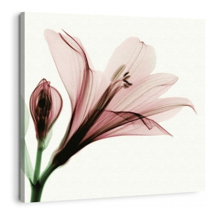 Foto 5 | Set Cuadros Flores Minimalista Moderno Naturaleza En Canvas