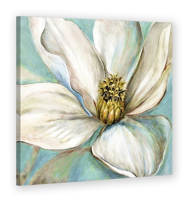 Cuadro Lienzo Canvas Flor Magnolia Blanca Alta Calidad Color Colores