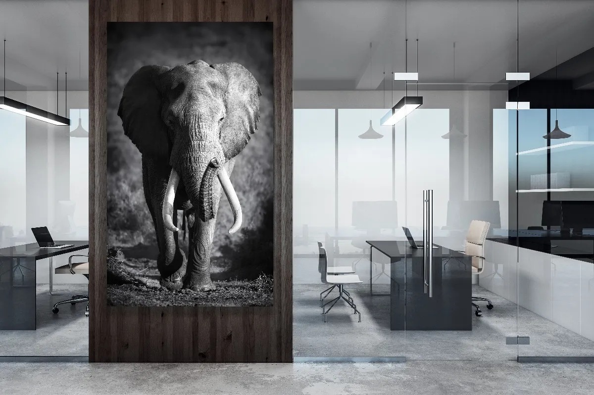 Foto 2 pulgar | Cuadro Moderno Canvas, Elefante Blanco Y Negro 120x70cm