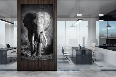 Foto 1 | Cuadro Moderno Canvas, Elefante Blanco Y Negro 120x70cm