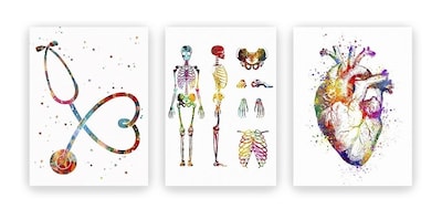 Foto 5 | Set Cuadros Decorativos Consultorio Medico Doctores Moderno