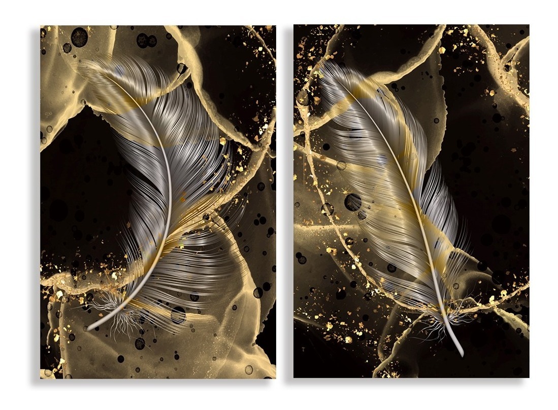 Cuadros Pluma Negro Con Dorado Canvas Grueso 2pz De 40x60cm