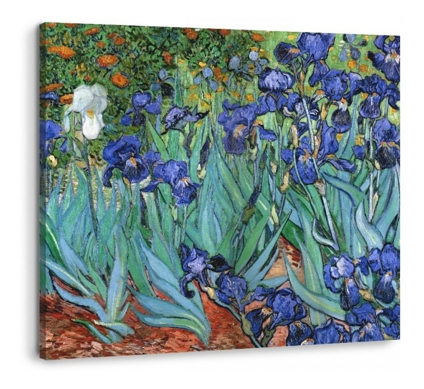Foto 2 pulgar | Cuadro Flores Iris De Van Gogh En Lienzo Canvas Con Bastidor Color Multicolor