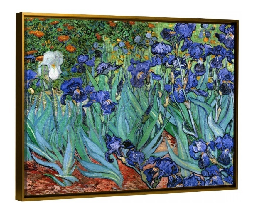 Foto 5 pulgar | Cuadro Flores Iris De Van Gogh En Lienzo Canvas Con Bastidor Color Multicolor