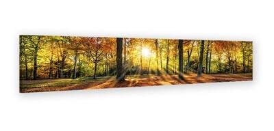 Foto 2 | Cuadro Panoramico Paisaje Bosque Otoño En Lienzo Canvas Hd