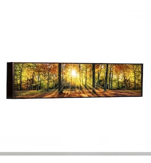 Foto 3 | Cuadro Panoramico Paisaje Bosque Otoño En Lienzo Canvas Hd