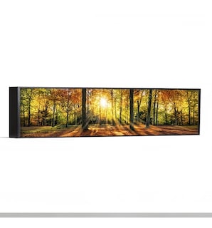 Foto 4 | Cuadro Panoramico Paisaje Bosque Otoño En Lienzo Canvas Hd
