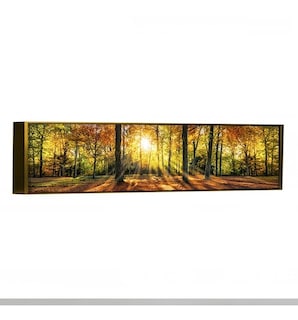 Foto 5 | Cuadro Panoramico Paisaje Bosque Otoño En Lienzo Canvas Hd