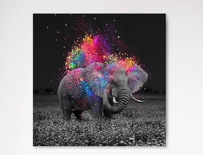 Foto 1 | Cuadro Elefante Colores Moderno En Lienzo Canvas Envío Gratis Tintas Ecológicas No Sintético Opcional Marco