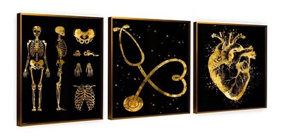 Foto 4 | Set Cuadros Decorativos Consultorio Medico Moderno Dorado