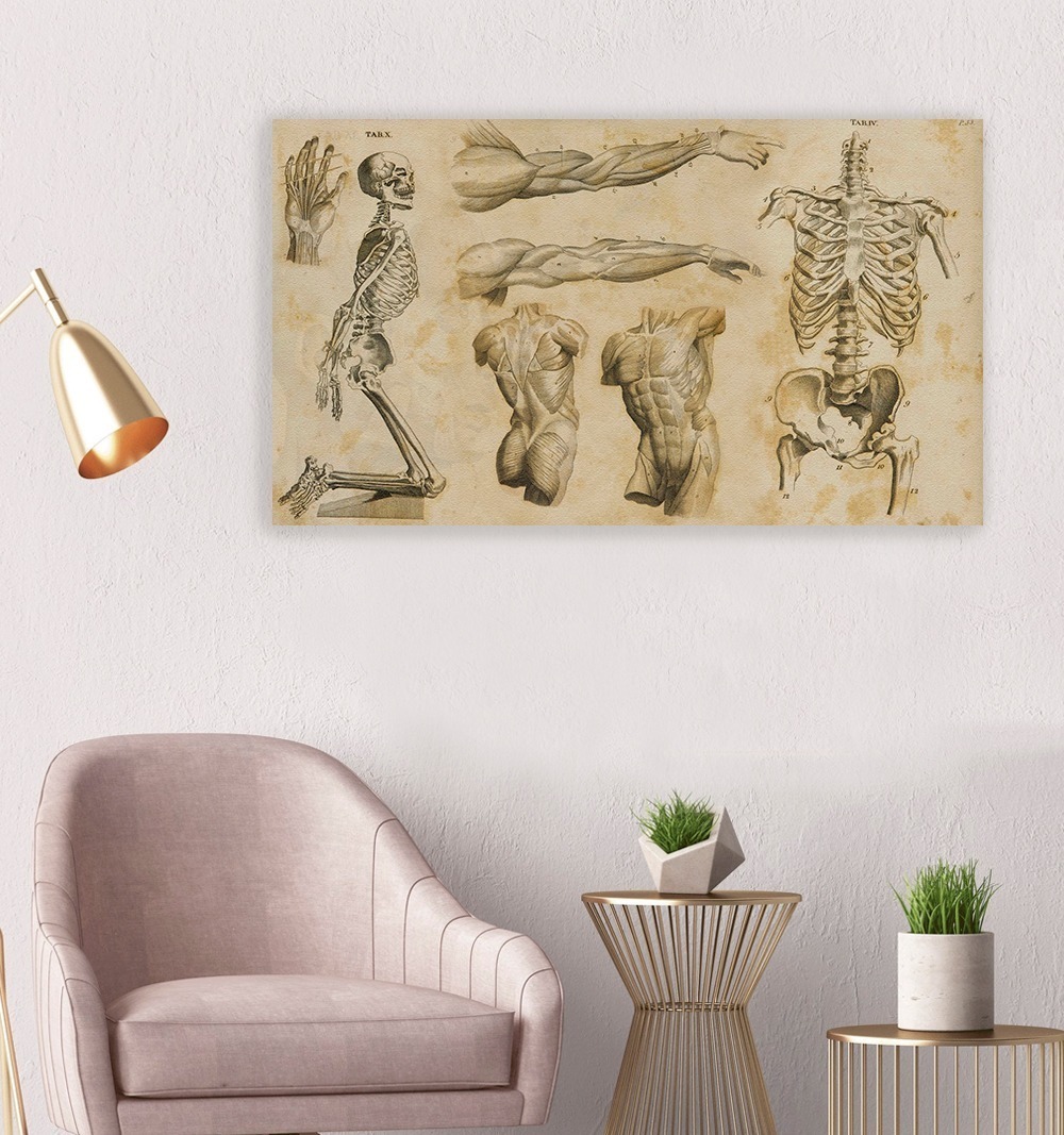 Foto 4 pulgar | Cuadro Decorativo Canvas Para Consultorio Medico, Cuerpo