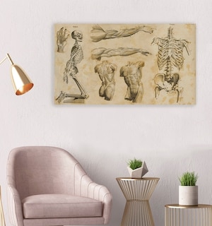 Foto 3 | Cuadro Decorativo Canvas Para Consultorio Medico, Cuerpo