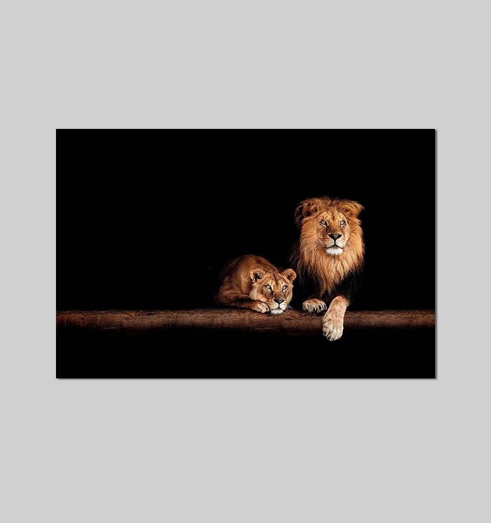 Foto 5 | Cuadro Decorativo Canvas Leones, Moderno Para Recamara, Sala Color Marrón Armazón Bastidor De Madera