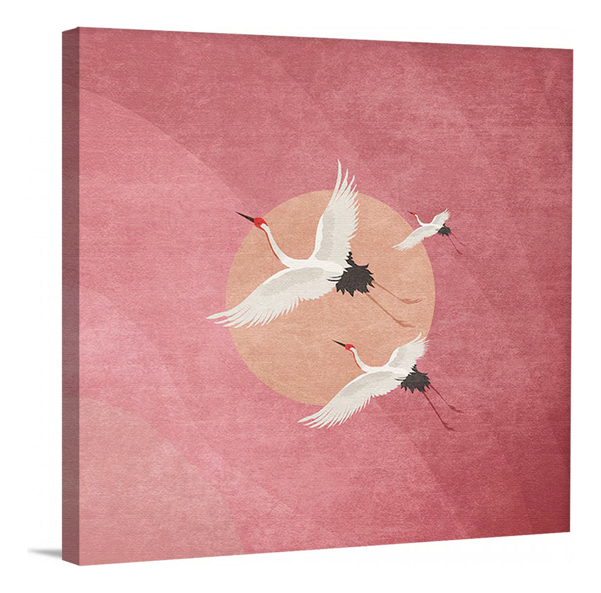 Foto 3 pulgar | Cuadro Aves Exóticas Grullas Elegante Rosa Canvas 70x70cm