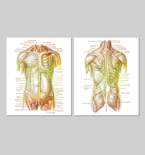 Foto 3 | Set 2 Cuadros Decorativos Canvas, Consultorio Medico Moderno