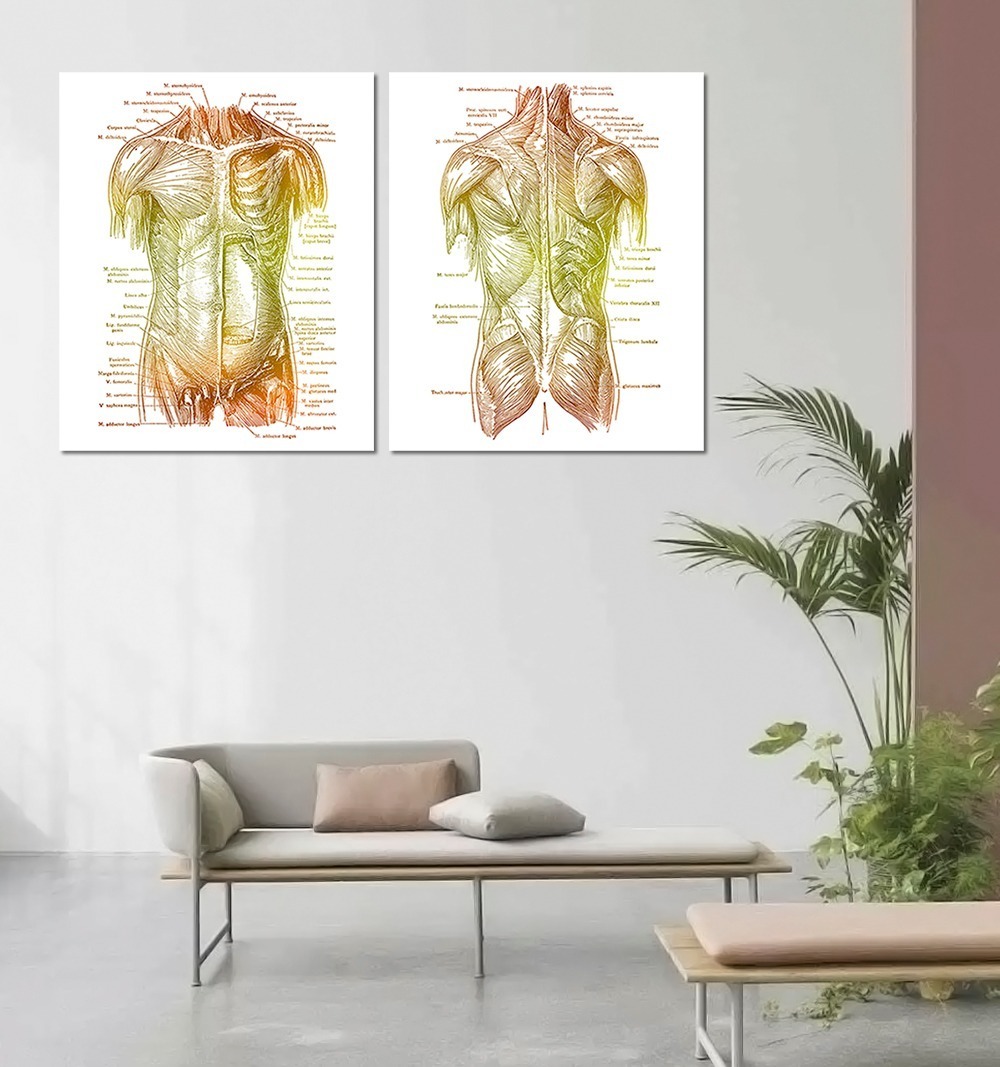 Foto 4 | Set 2 Cuadros Decorativos Canvas, Consultorio Medico Moderno