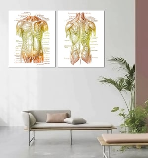 Foto 4 | Set 2 Cuadros Decorativos Canvas, Consultorio Medico Moderno
