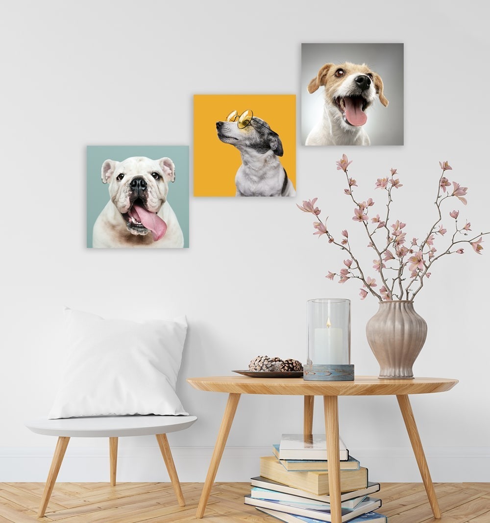 Foto 4 pulgar | Set 3 Cuadros Decorativos Canvas Veterinario, Perros Y Gatos