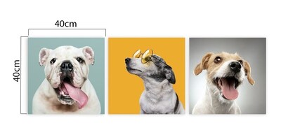 Foto 4 | Set 3 Cuadros Decorativos Canvas Veterinario, Perros Y Gatos
