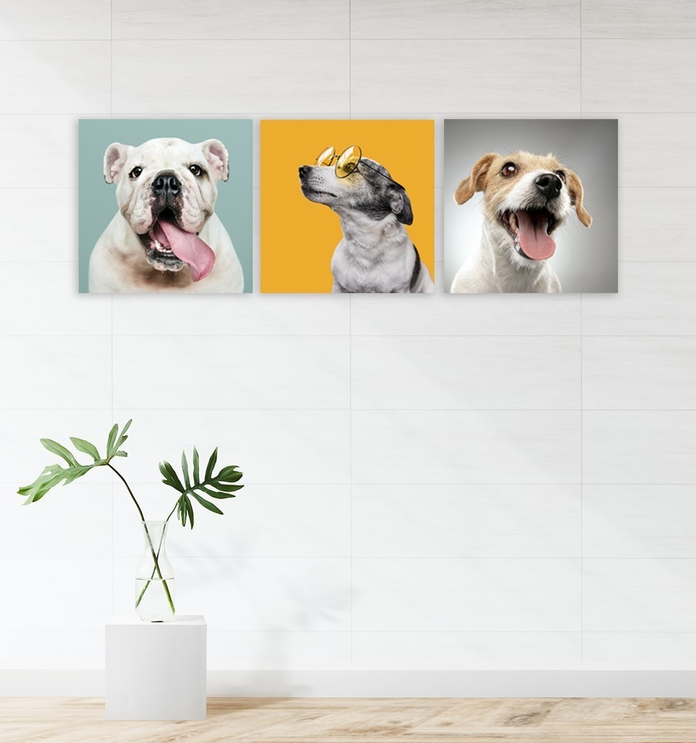Foto 6 pulgar | Set 3 Cuadros Decorativos Canvas Veterinario, Perros Y Gatos