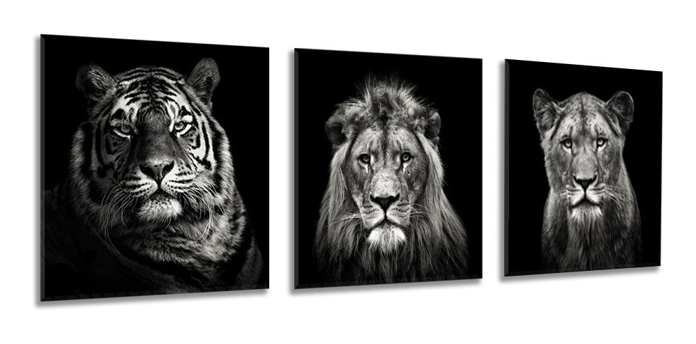 Set De 3 Cuadros Decorativos Modernos Leones Blanco Y Negro