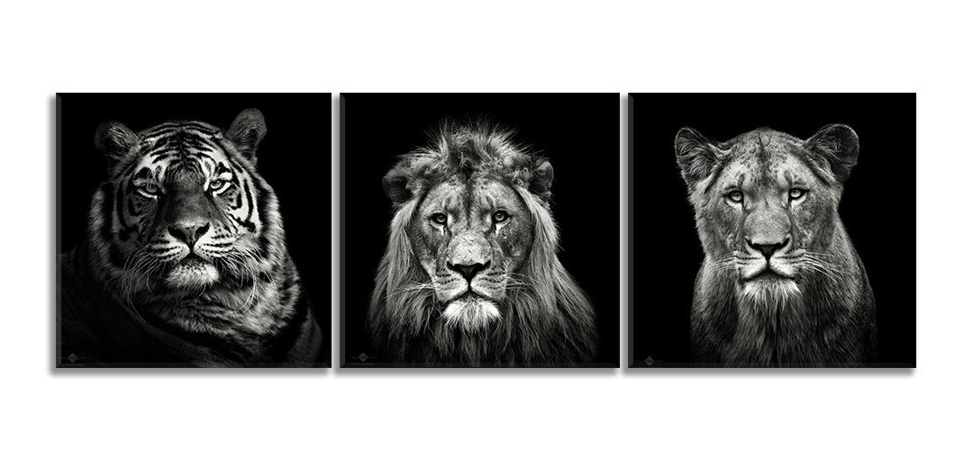 Foto 4 pulgar | Set De 3 Cuadros Decorativos Modernos Leones Blanco Y Negro