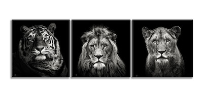 Foto 3 | Set De 3 Cuadros Decorativos Modernos Leones Blanco Y Negro