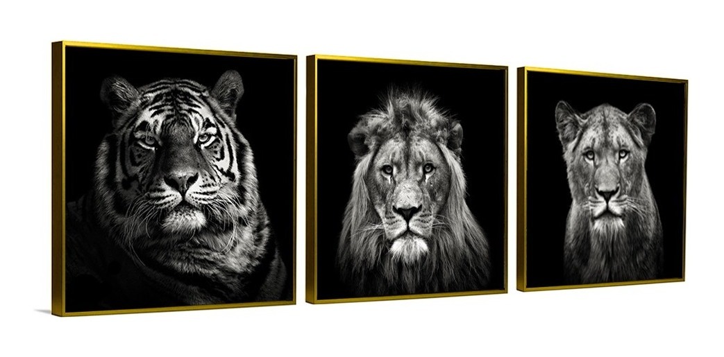 Foto 6 pulgar | Set De 3 Cuadros Decorativos Modernos Leones Blanco Y Negro