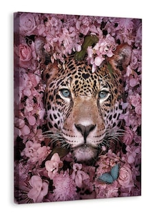 Foto 1 | Cuadros Decorativos Animales Flores Modernos Varios Canvas