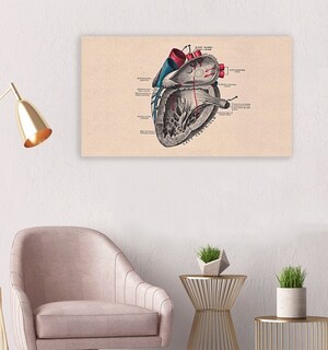 Foto 3 | Cuadro Decorativo Canvas Para Consultorio Medico, Cuerpo