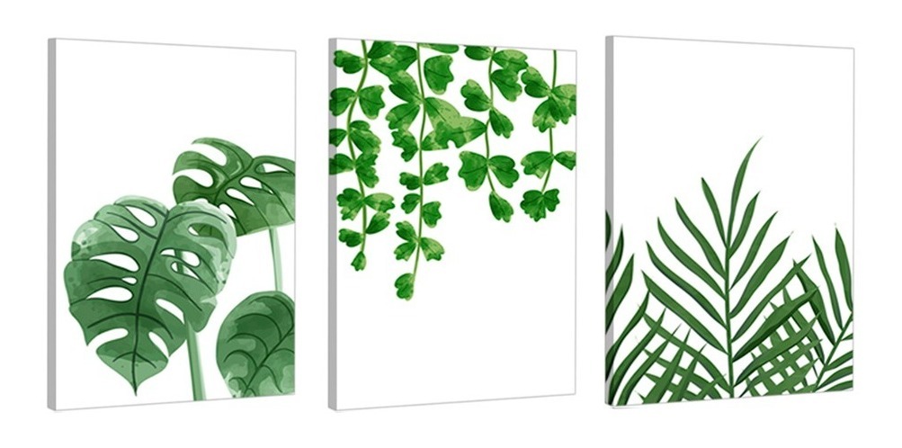 Set Cuadros Decorativos Canvas Plantas Acuarela, Minimalista