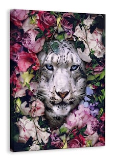 Foto 1 | Cuadros Decorativos Animales Flores Modernos Varios Canvas
