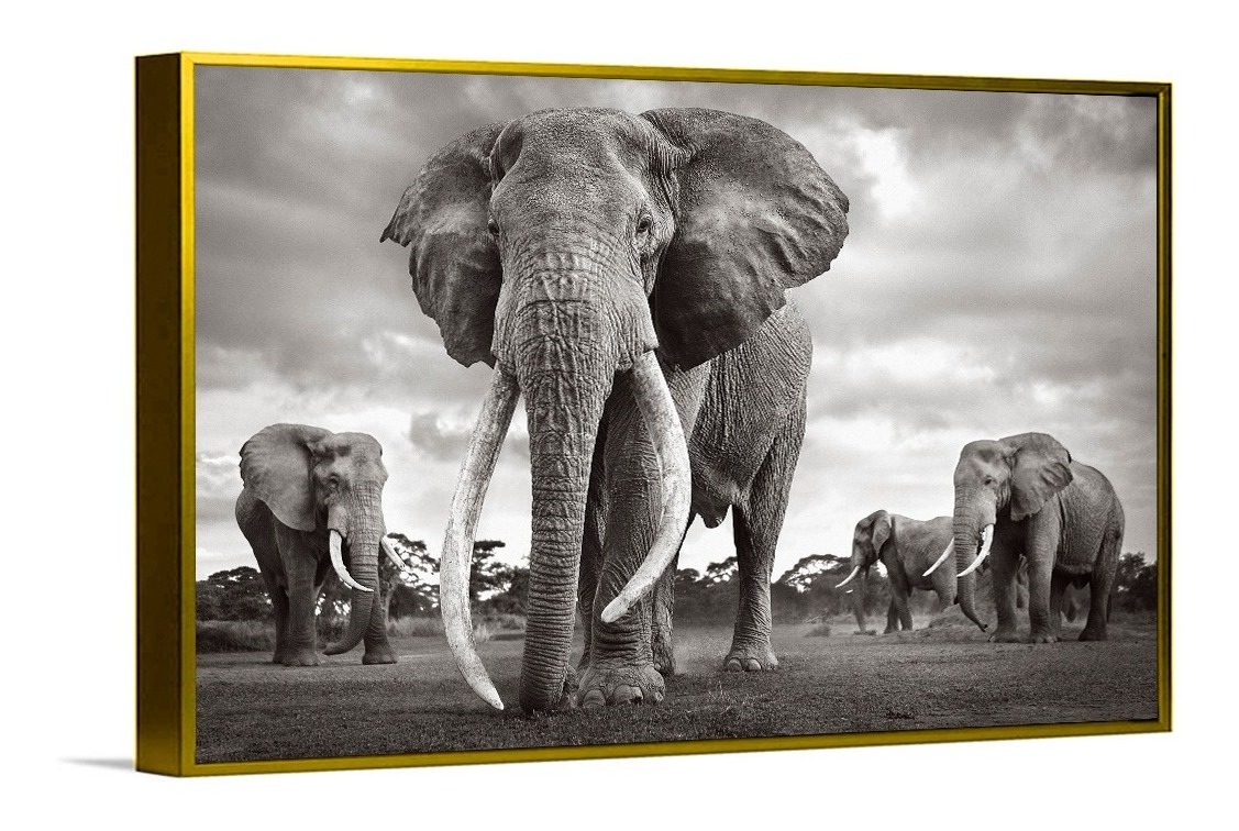 Foto 4 | Cuadros Elefantes Modernos Coloridos En Canvas Ecológicos Color Elefante 7 Armazón Bastidor