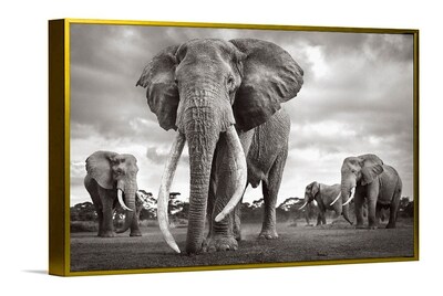 Foto 4 | Cuadros Elefantes Modernos Coloridos En Canvas Ecológicos Color Elefante 7 Armazón Bastidor
