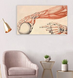 Foto 3 | Cuadro Decorativo Canvas Para Consultorio Medico, Cuerpo