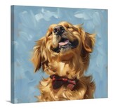 Cuadro Decorativo Labrador Retriever Mascota Retrato Canvas