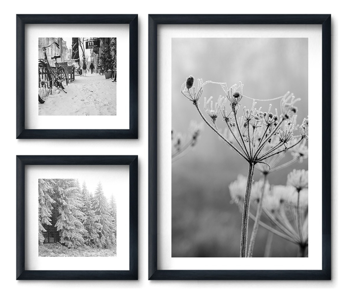 Foto 2 | Cuadros Flores De Invierno Minimalista Blanco Negro Elegante