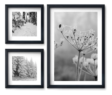Foto 2 | Cuadros Flores De Invierno Minimalista Blanco Negro Elegante