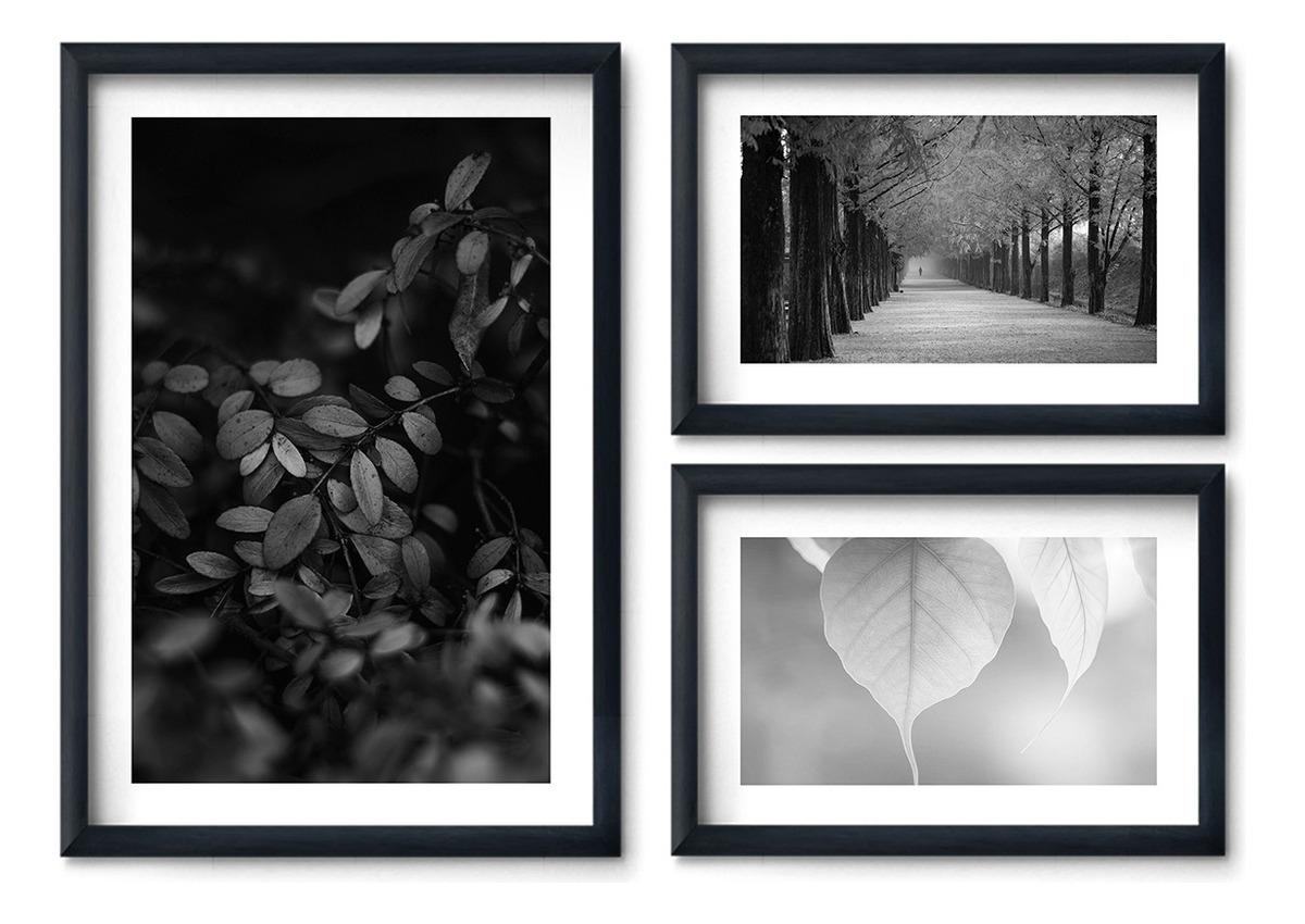 Foto 3 pulgar | Set 3 Cuadros Elegantes Otoño Flores Minimalista Blanco Negr