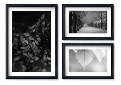 Foto 2 | Set 3 Cuadros Elegantes Otoño Flores Minimalista Blanco Negr