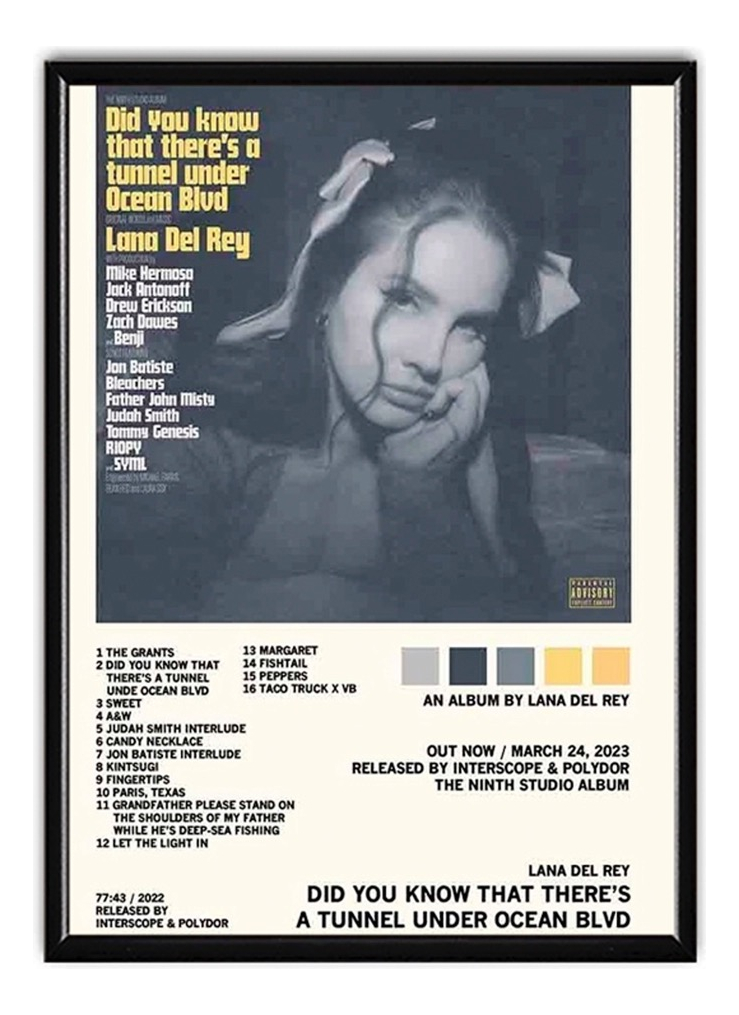 Foto 3 | Lana Del Rey Álbum Music Tracklist Cuadro Con Marco Madera