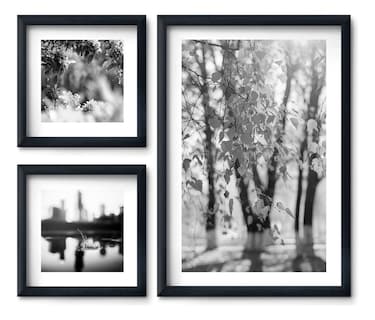Foto 1 | Set 3 Cuadros Flores Elegantes Minimalista Blanco Negro