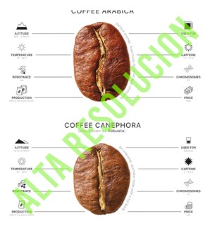 Foto 3 | Set 3 Cuadros Cafetería Café Coffee Guide Con Marcos Madera