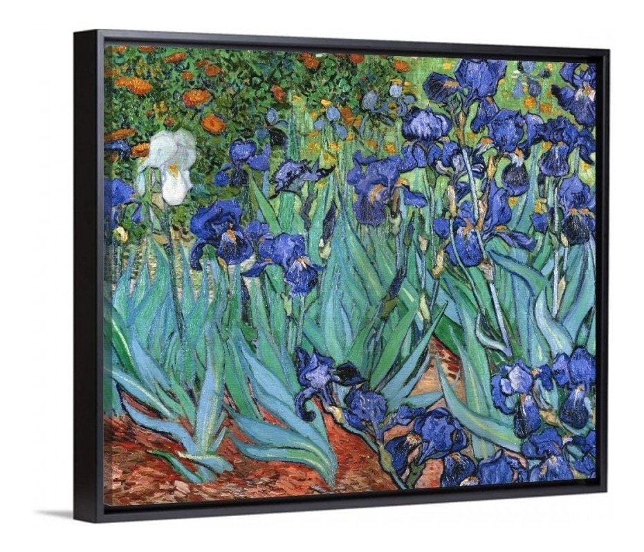 Foto 2 pulgar | Cuadro Canvas Van Gogh Iris Con Marco Flotante Color Elegir