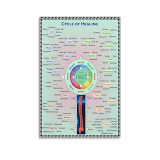 Foto 1 | Cuadro Mural Ciclo De Herboristería Curativa 30 X 40 Cm - Venta Internacional
