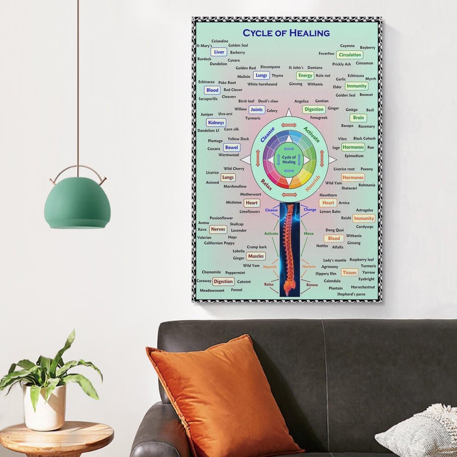 Foto 5 pulgar | Cuadro Mural Ciclo De Herboristería Curativa 30 X 40 Cm - Venta Internacional