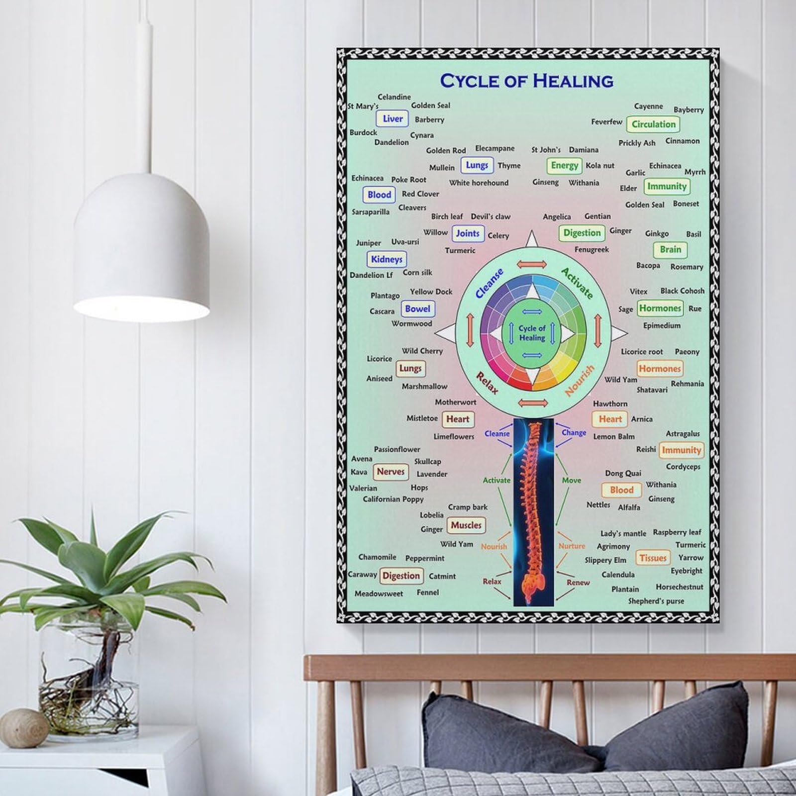 Foto 6 pulgar | Lámina Mural Cycle Of Healing Herbalism 40 x 60 cm - Venta Internacional