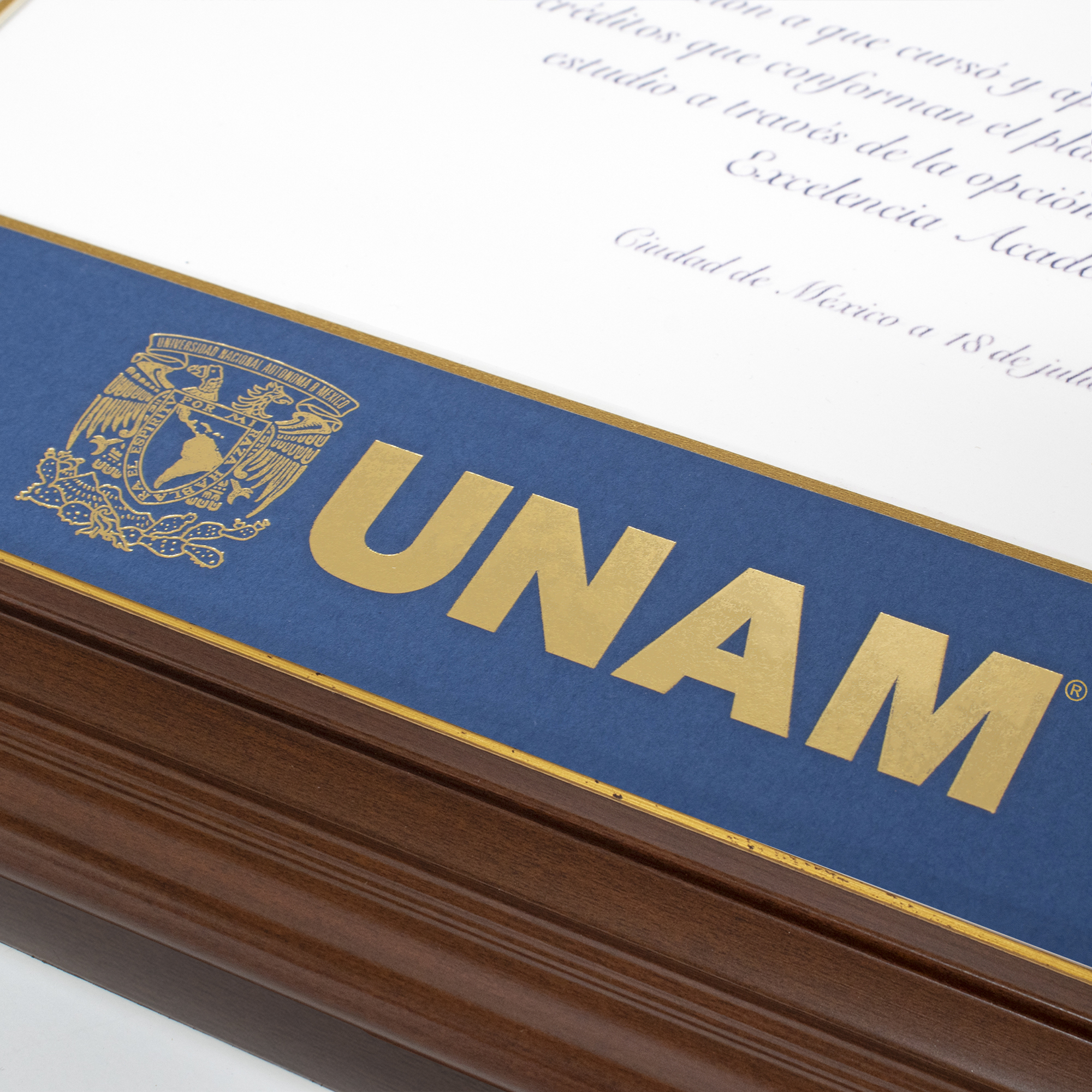 Foto 5 | Marco Oficial Unam , Para Título Universitario  40x50 Cm