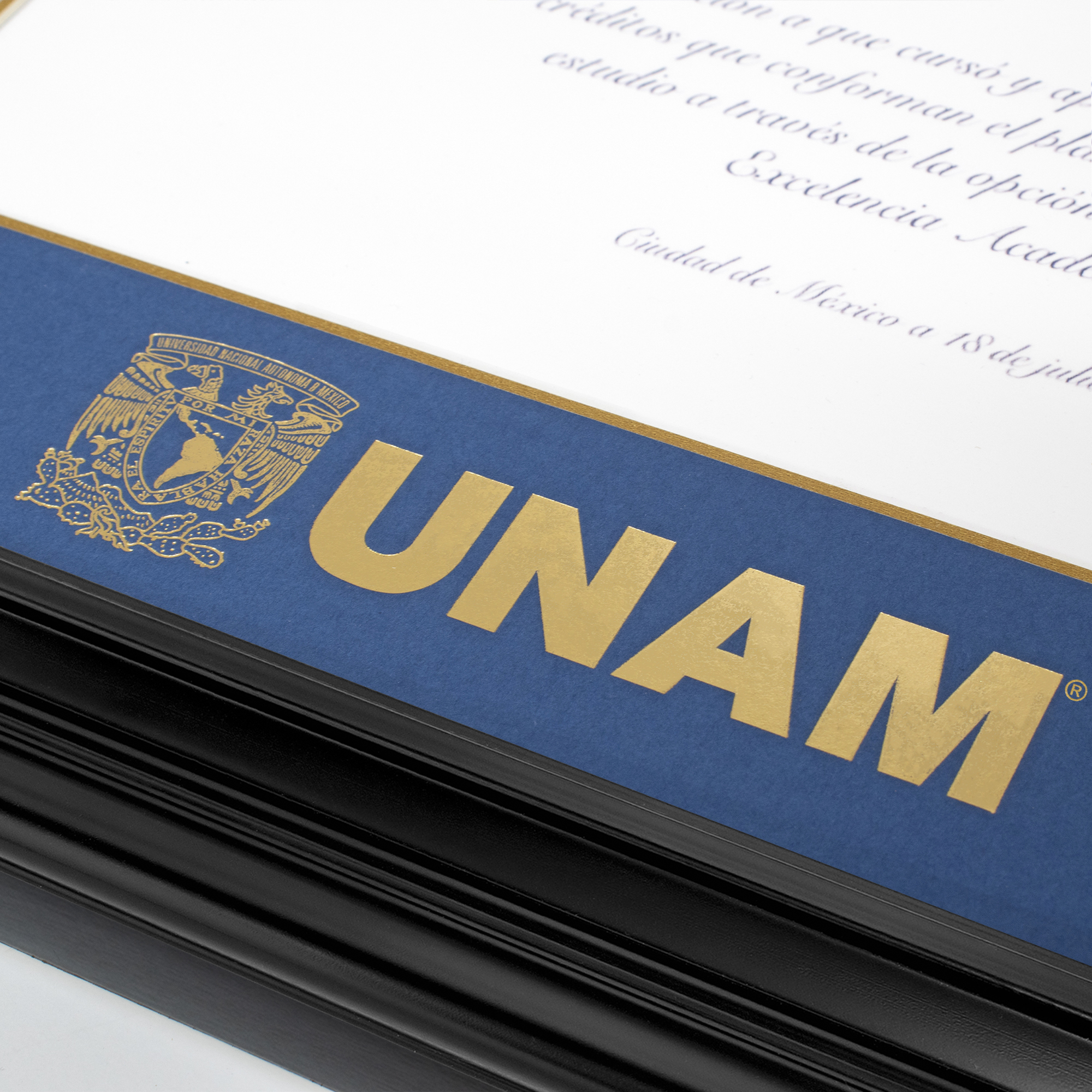 Foto 5 | Marco Oficial Unam, Para Titulo Universitario 40x50 Cm
